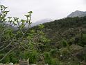 turkije2005 159